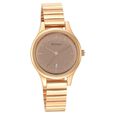 Titan Karishma Brown Dial Metal Strap Watch for Women - image number 0