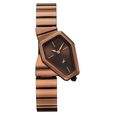 Fastrack Wild Quartz Analog Silver Dial Rose Gold Stainless Steel Strap Watch For Girls