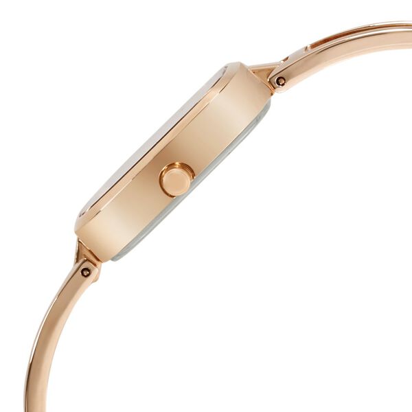 Titan Raga Viva Grey Dial Analog with Date Rose Gold Metal Strap watch for Women - image number 3