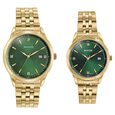 Sonata Jashn Quartz Analog Green Dial Golden Metal Strap Watch For Couple - image number 0