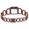 Titan Raga Ascend Quartz Analog Brown Dial With Brown Color Metal Strap Watch For Women - image number 4