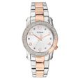 Titan Quartz Analog Silver Dial Watch for Women - image number 0