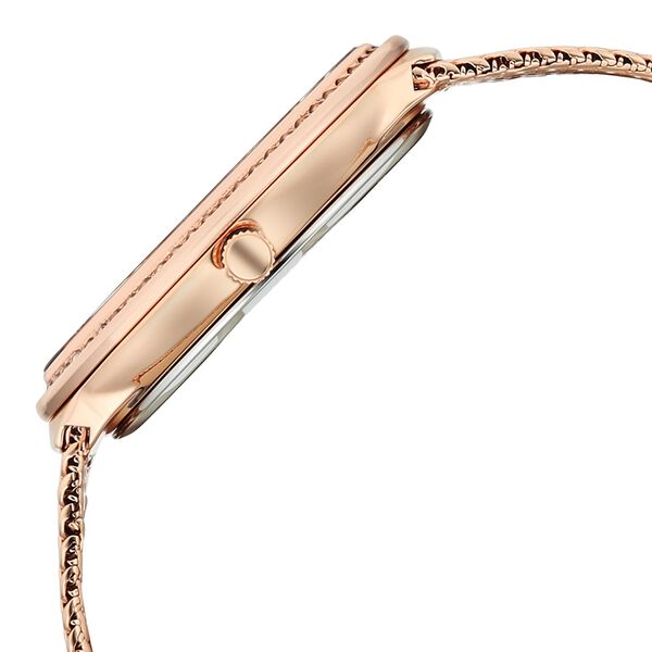Titan Raga Glimmers Quartz Analog Brown Mother Of Pearl Dial Rose Gold Metal Strap Watch For Women - image number 4