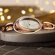 Titan Raga Delight Brown Dial Analog Stainless Steel Strap Watch for Women - image number 0