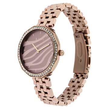 Titan Animalia Multicoloured Dial Quartz Analog Stainless Steel Strap Watch for Women