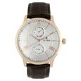 Titan Quartz Multifunction Brown Dial Stainless Steel Strap Watch for Men