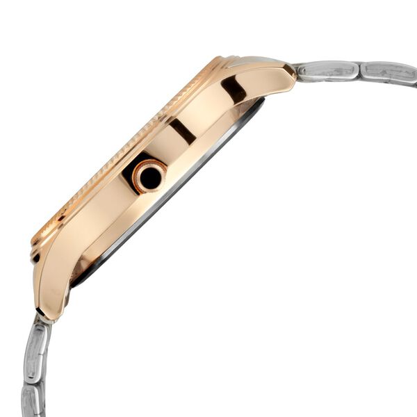 Titan Brown Dial Analog with Day and Date Stainless Steel Strap Watch for Men - image number 3