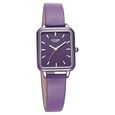 Poze by Sonata Quartz Analog Purple Dial PU Leather Strap Watch for Women - image number 1