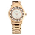 Titan Quartz Analog Silver Dial Metal Strap Watch for Men