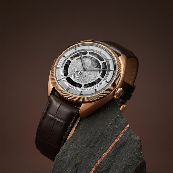 Titan Stellar Cupola Automatic Analog with Sun Moon Phase and Silver Dial Brown Leather Strap Watch for Men - image number 0