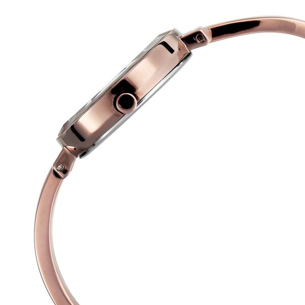 Titan Quartz Analog Brown Dial Metal Strap Watch for Women - image number 2