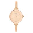Titan Raga Viva Quartz Analog Rose Gold Round Dial Rose Gold Metal Strap Watch For Women - image number 0