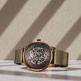 Titan Automatic Color Upgrade Brown Dial Brown Leather Strap Watch For Men
