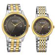 Titan Bandhan Eternal Pair Analog with Date and Gun Dial Dual Tone Stainless Steel Strap Watch for Couples - image number 1