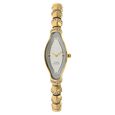 Titan Quartz Analog Champagne Dial Metal Strap Watch for Women