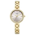 Titan Raga Spotlight Quartz Analog Silver Dial Golden Metal Strap Watch For Women - image number 0