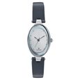 Titan Quartz Analog Silver Dial Watch for Women - image number 0