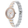 Titan Raga Showstopper Quartz Analog Silver Round Dial Two Toned Metal Strap Watch For Women - image number 2