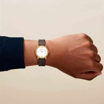 Titan Nebula Vintage 18k Gold Analog Leather Strap Watch for Men