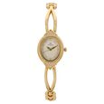 Titan Quartz Analog Champagne Dial Metal Strap Watch for Women