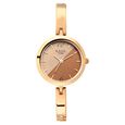 Titan Raga Viva Bicolour Dial Women Watch With Metal Strap - image number 1