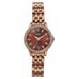 Sonata Poze Quartz Analog Brown Dial Brown Metal Strap Watch For Women - image number 0