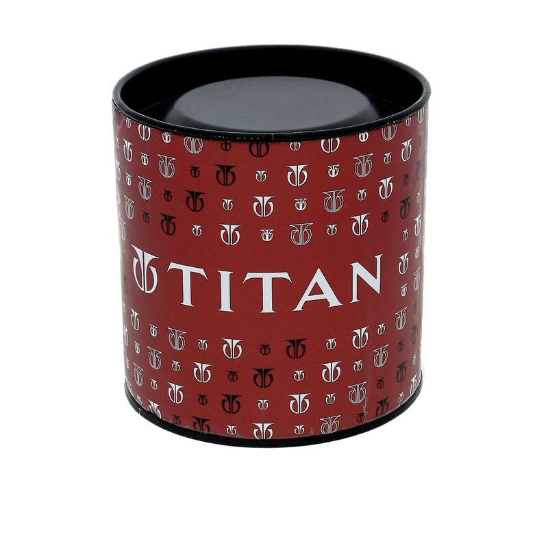 Titan Men's Multifunction Karishma: Two-Tone Steel Elegance Watch - image number 6