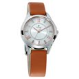 Titan Sparkle Blue Dial Analog Watch for Women