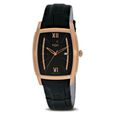 Xylys Swiss Analog with Date Black Dial And Leather Strap Watch For Men - image number 0