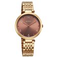 Titan Workwear Quartz Analog Brown Dial Rose Gold Colour Stainless Steel Strap Watch For Women - image number 1