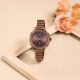 Fastrack Vyb Seeker Quartz Analog Brown Dial Metal Strap Watch For Girls - image number 0