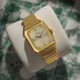 Titan Quartz Analog with Day and Date Champagne Dial Stainless Steel Strap Watch for Men - image number 0