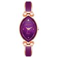 Anne Klein Quartz Analog Purple Dial Rose Gold Plastic Strap Watch For Women - image number 0