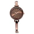 Titan Quartz Analog Blue Dial Metal Strap Watch for Women