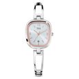 Titan Raga Viva Silver Dial Analog with Date Metal Strap watch for Women - image number 0
