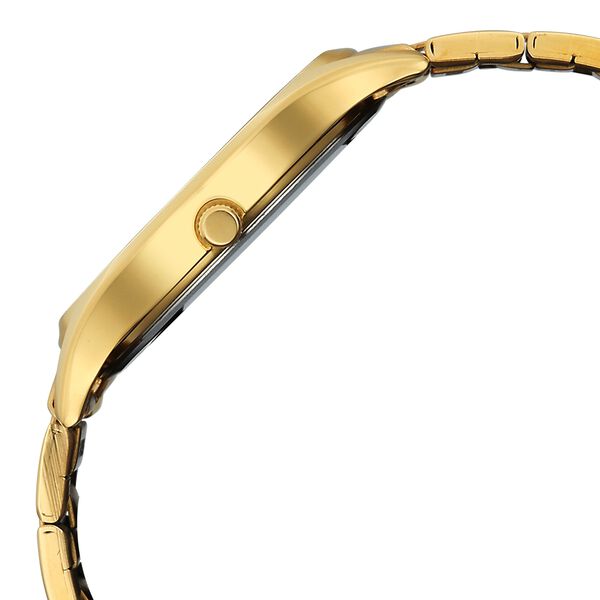 Titan Karishma Regal Classic Day-Date Men's Dress Watch - image number 3