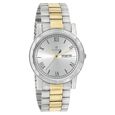 Titan Quartz Analog with Day and Date Silver Dial Watch for Men - image number 0