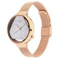 Titan Raga Moments of Joy Silver Dial Analog Metal Strap watch for WoMen - image number 3