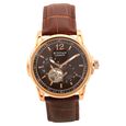 Titan Automatic Brown Dial Stainless Steel Strap watch for Men - image number 0
