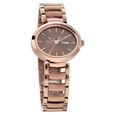 Titan Raga Viva Brown Dial Analog with Day and Date Metal Strap Watch for Women - image number 1