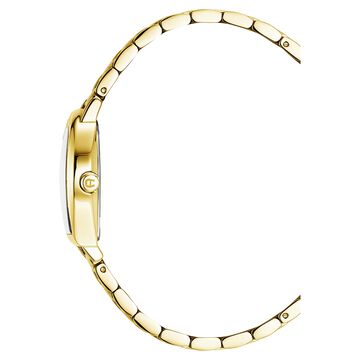 Aigner Quartz Analog Green Dial Golden Stainless Steel Strap Watch For Women