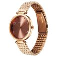 Titan Workwear Quartz Analog Brown Dial Rose Gold Colour Stainless Steel Strap Watch For Women - image number 2