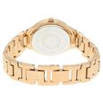 Anne Klein Quartz Analog Brown Dial Metal Strap Watch for Women - image number 3