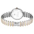 Titan Raga Spotlight Quartz Analog Silver Dial Two Toned Metal Strap Watch For Women - image number 5