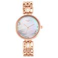 Titan Raga Chic Mother Of Pearl Dial Women Watch With Metal Strap - image number 1