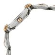 Titan Quartz Analog Multicoloured Dial Metal Strap Watch for Women - image number 2