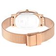 Titan Raga Viva Brown Dial Analog Stainless Steel Strap Watch for Women - image number 5