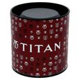 Titan Quartz Analog with Date Champagne Dial Stainless Steel Strap Watch for Women - image number 5