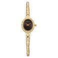 Nebula By Titan Quartz Analog Brown Dial 18 KT Gold Strap Watch for Women - image number 0
