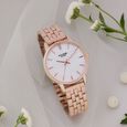 Sonata Poze Quartz Analog Khaki Dial Brown Color Stainless Steel Strap Watch For Women